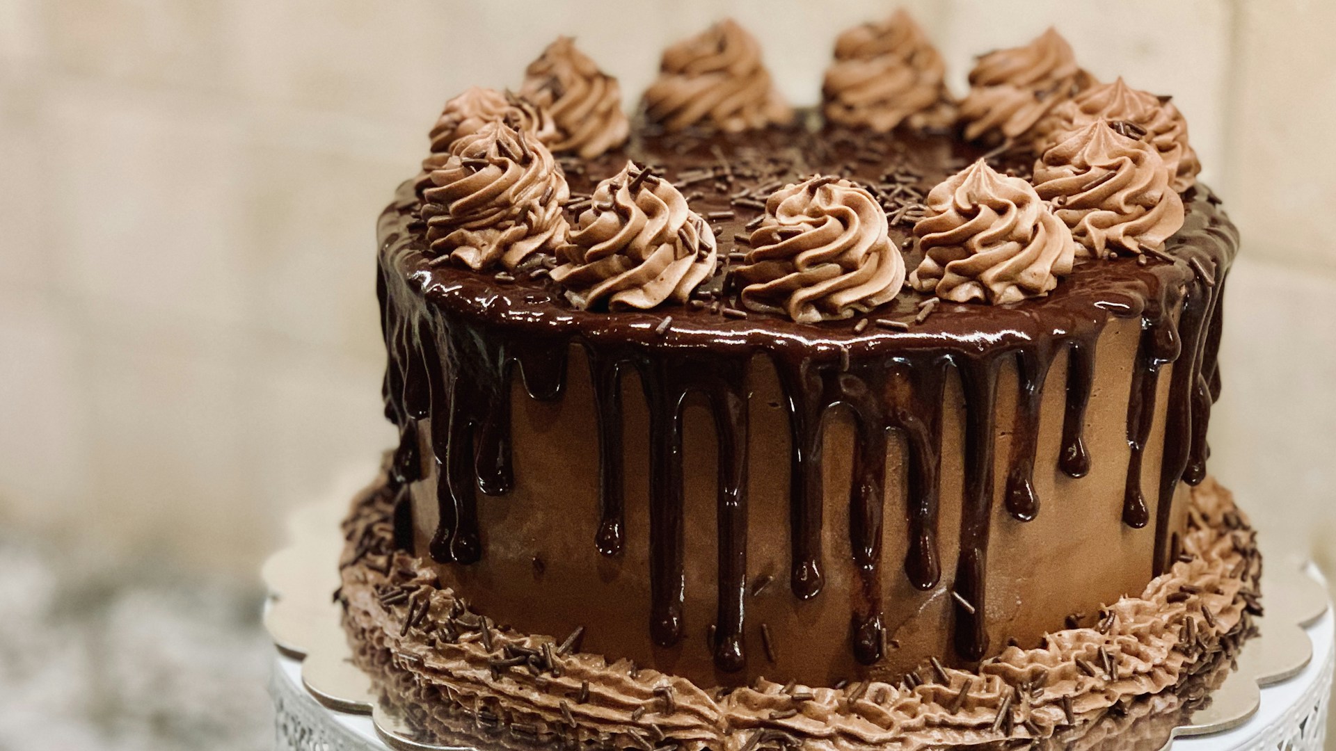 Selección de tortas y postres de pastelería fina Daliza